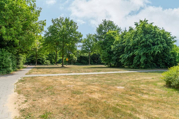 Photo 3 of Heilige Stoel 5011