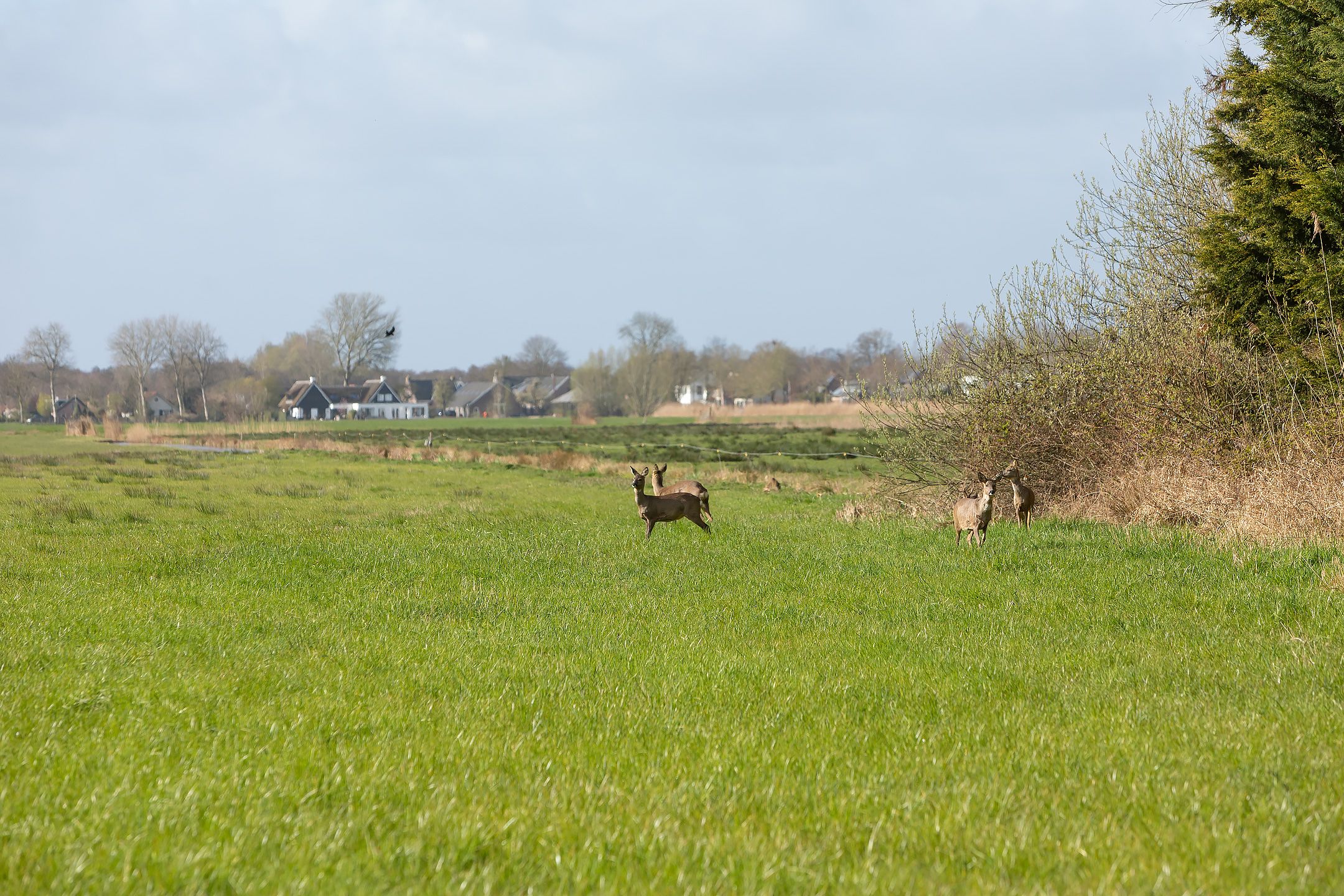 Foto 3 van Willibrorduslaan 101