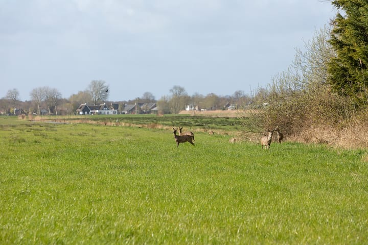 Foto 3 van Willibrorduslaan 101