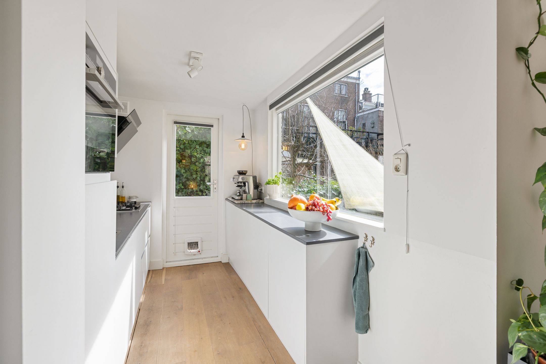 Photo 27 of Adriaanstraat 49