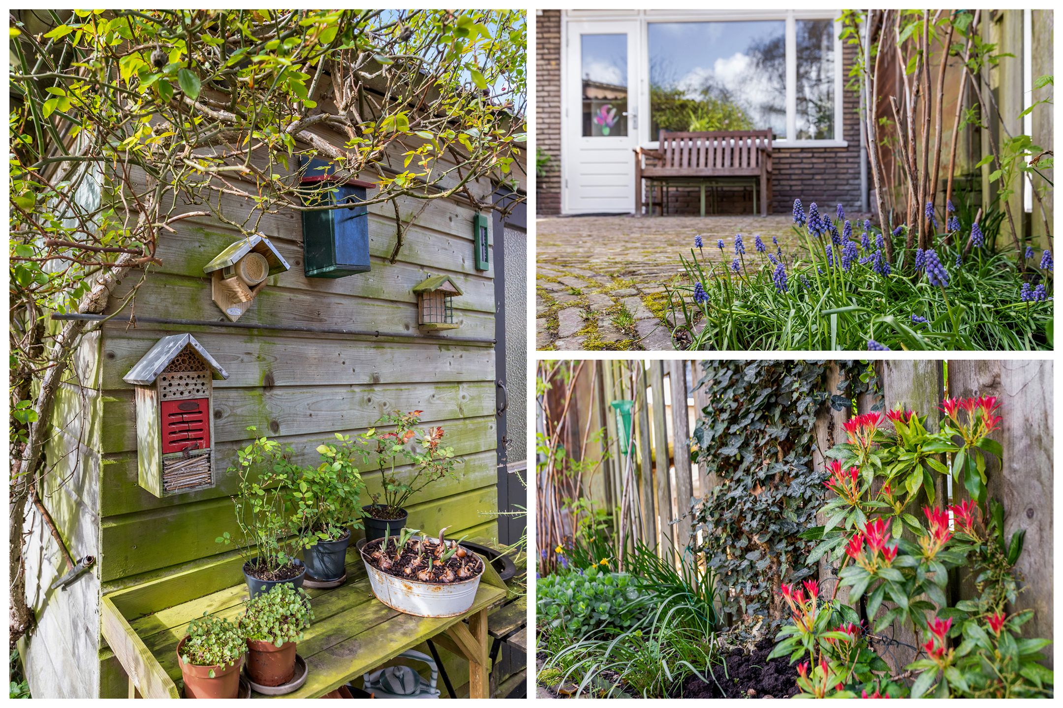 Foto 33 van Corneillelaan 12