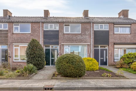 Roemer Visscherstraat thumbnail