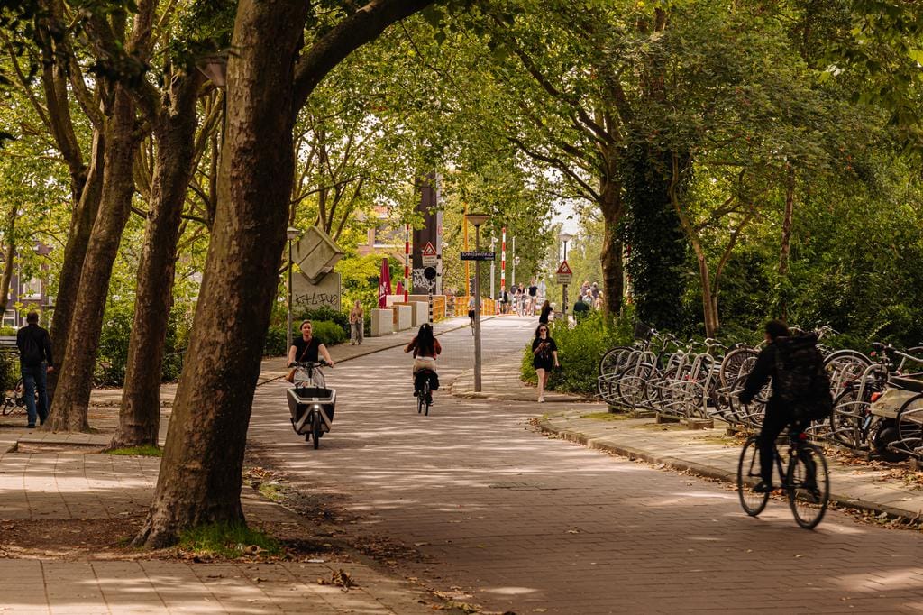 Photo 44 of Schinkelhavenkade 15