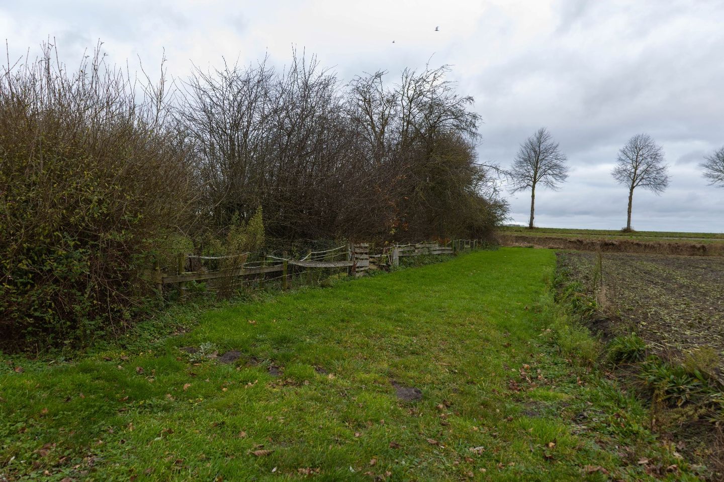 Foto 35 van Binnenweg 1