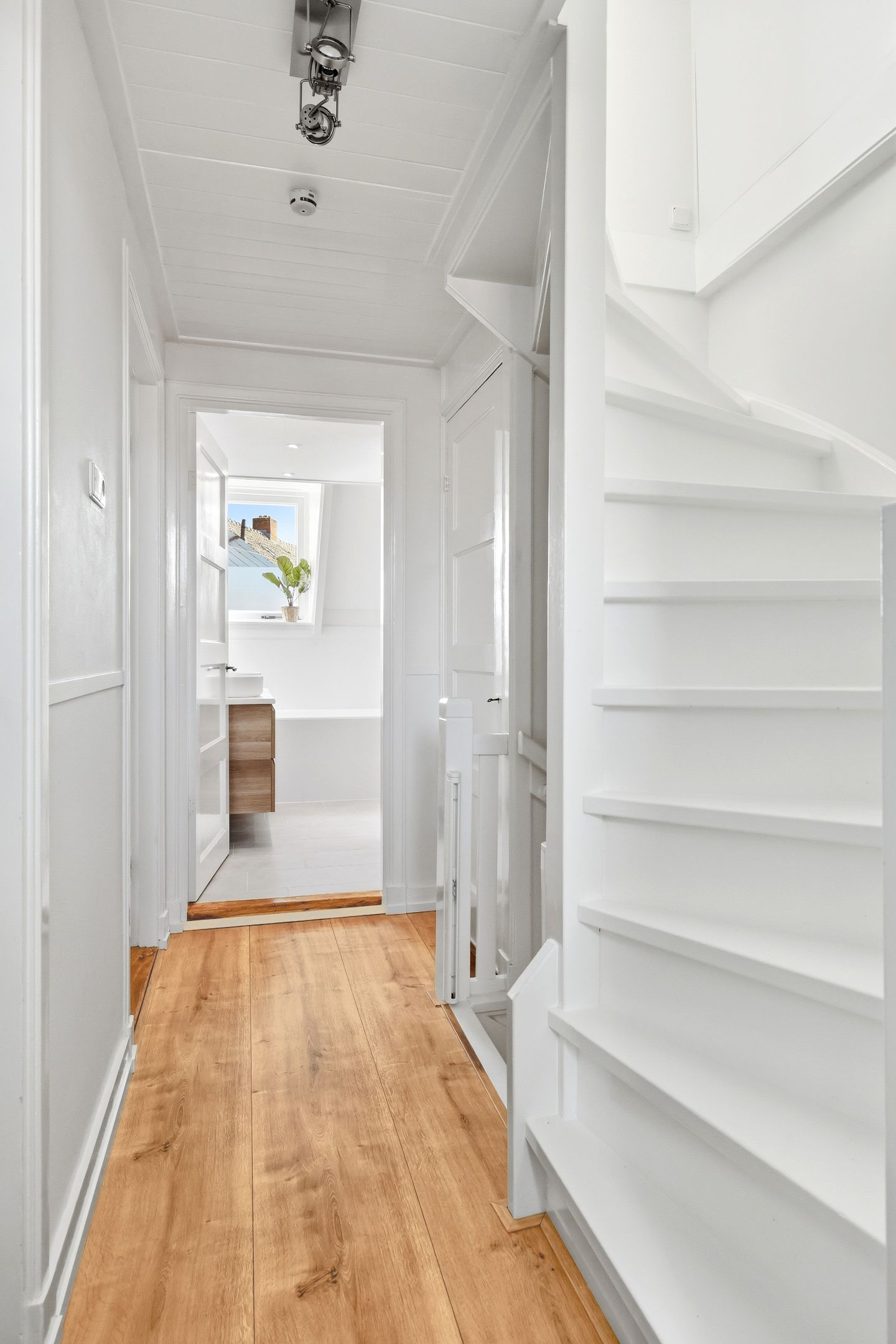 Photo 19 of Borrostraat 13