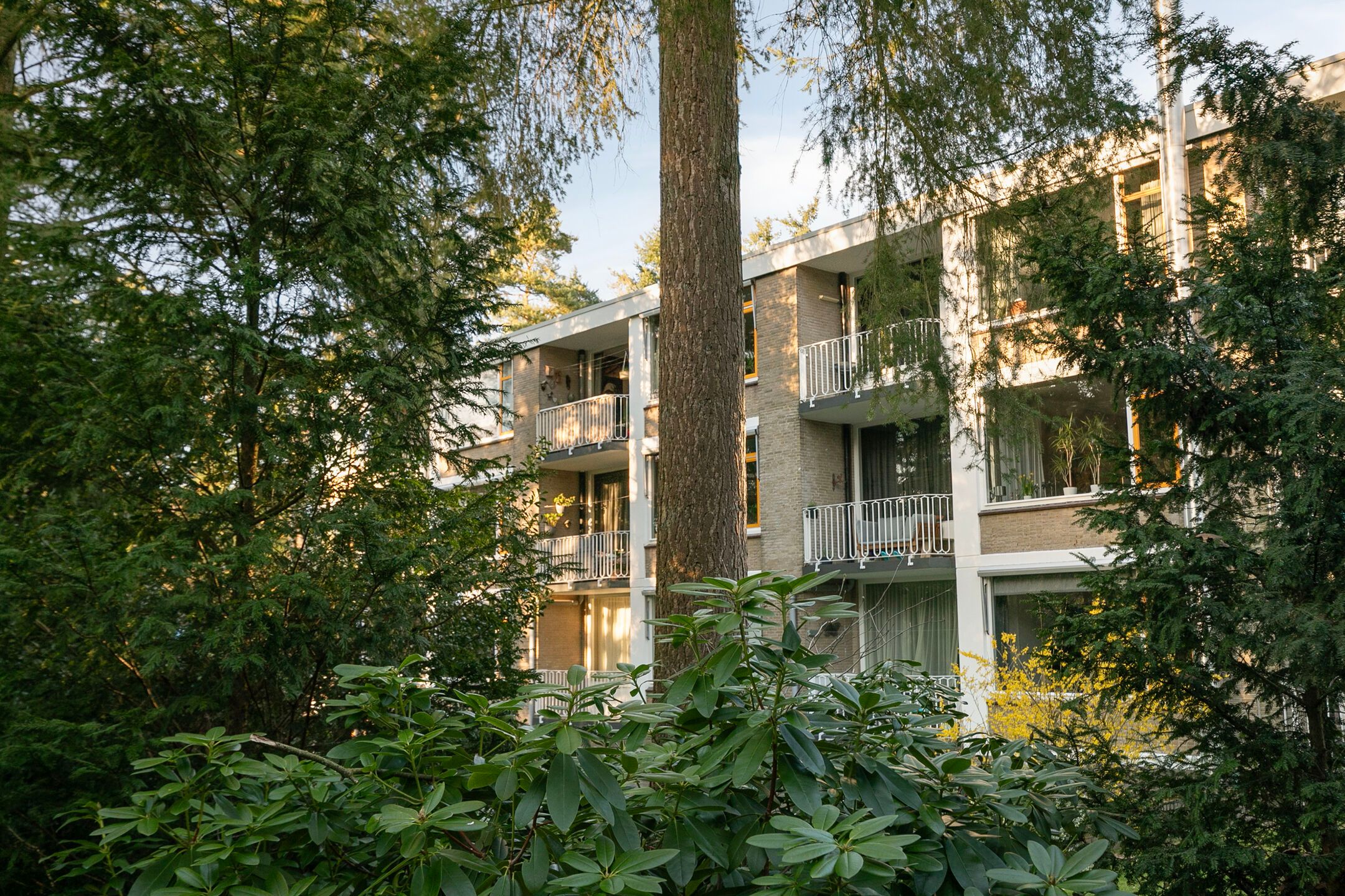 Foto 33 van Koningin Wilhelminalaan 2-A36