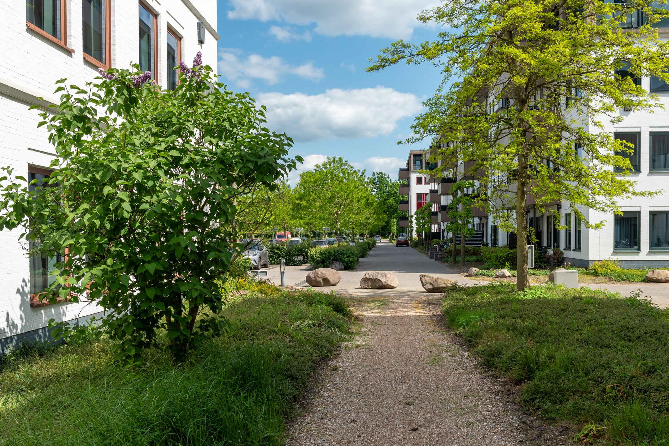 Energy-efficient turnkey apartment with private parking in green Rijnhuizen — 30