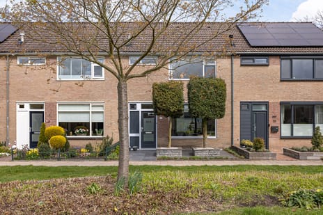Beethovenstraat thumbnail