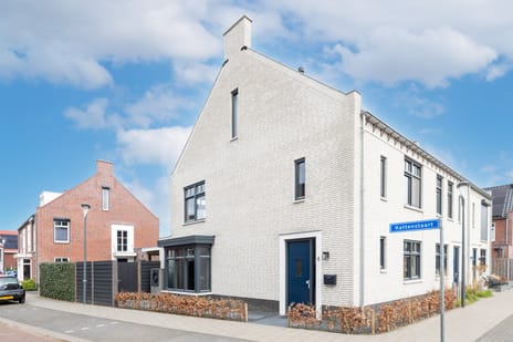 Kattenstaart thumbnail