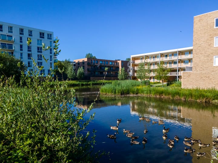 Photo 4 of Walter Kollolaan 145