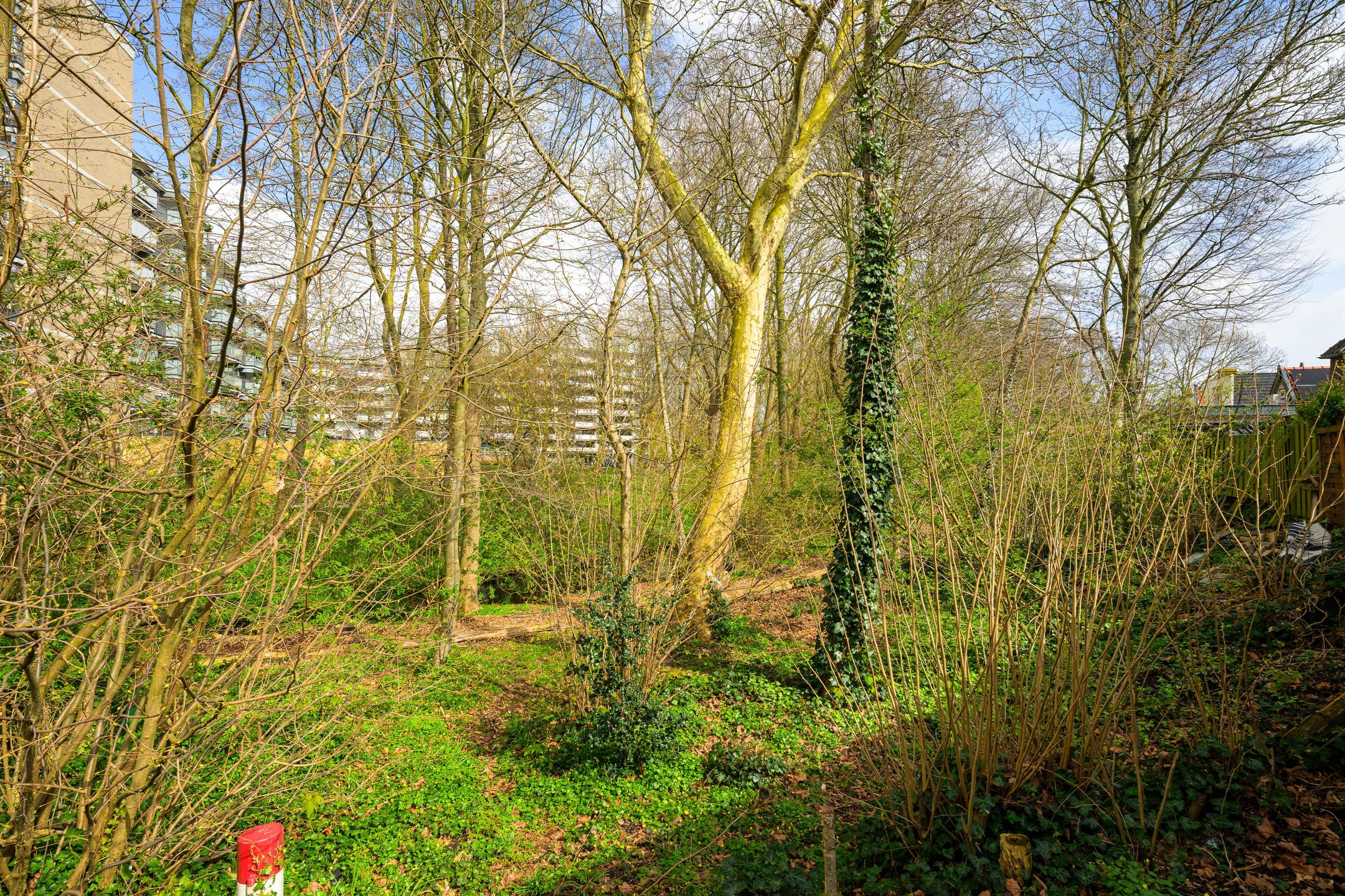 Foto 21 van Venestraat 97