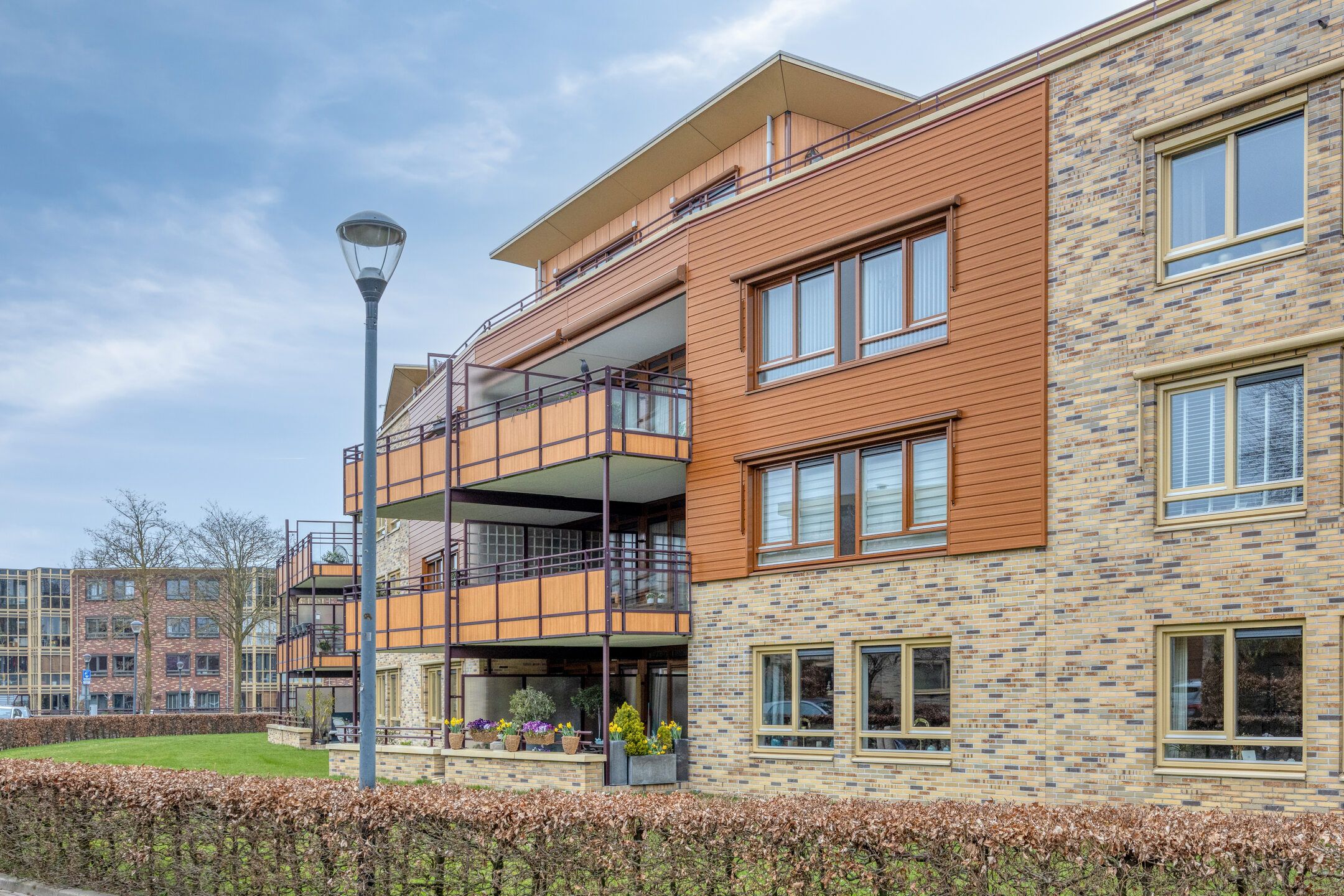 Photo 33 of Zeshoven 39