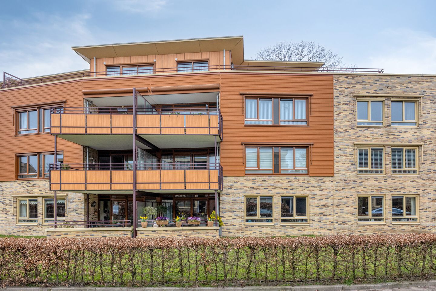 Photo 34 of Zeshoven 39