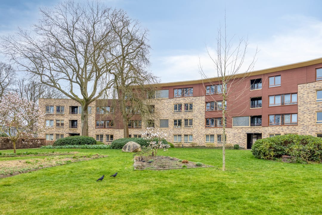 Photo 38 of Zeshoven 39