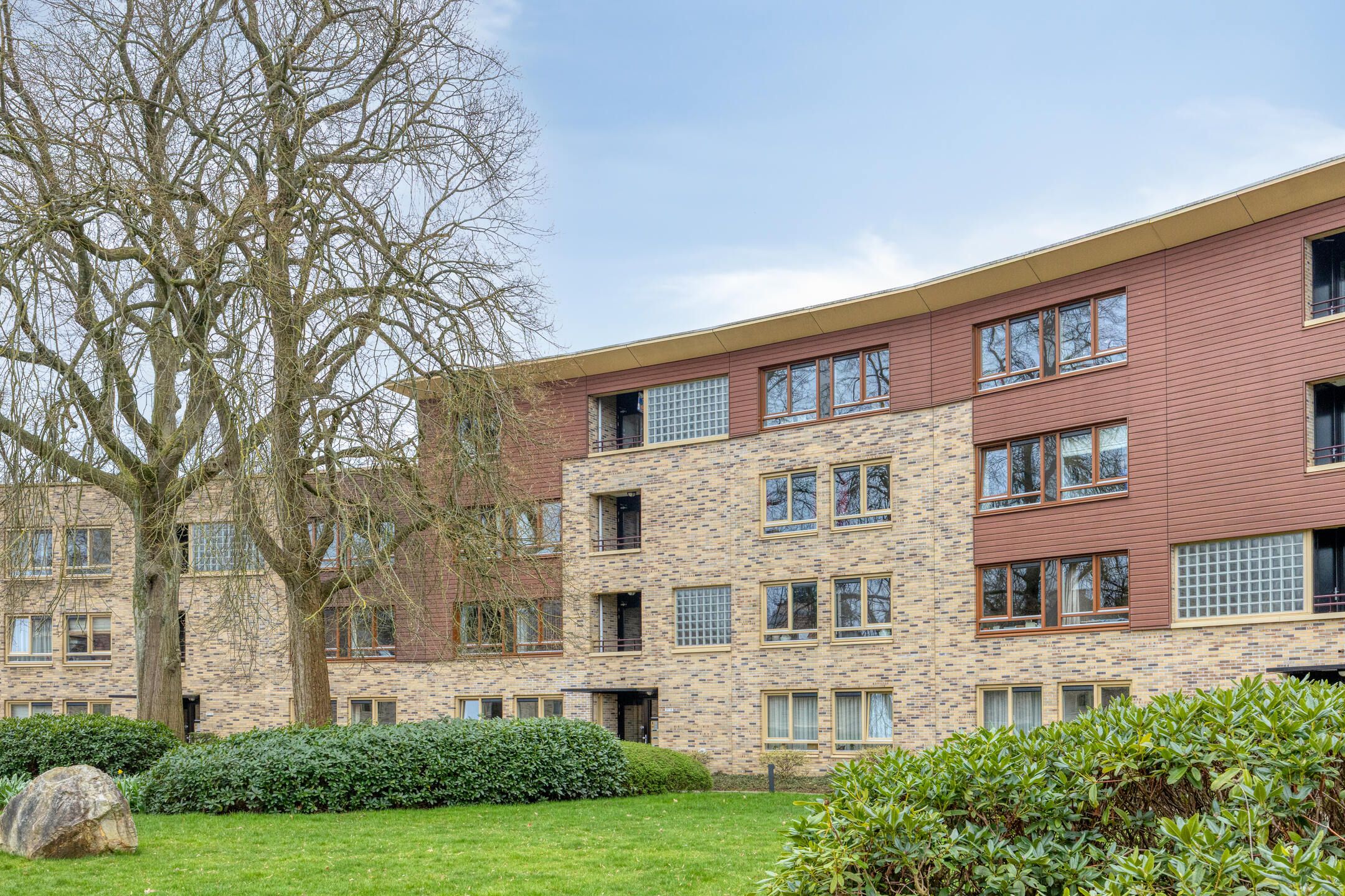 Photo 39 of Zeshoven 39