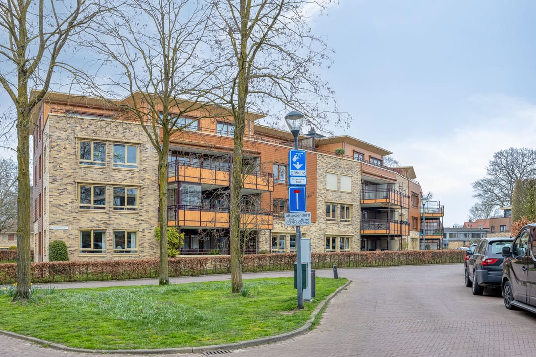 Photo 41 of Zeshoven 39