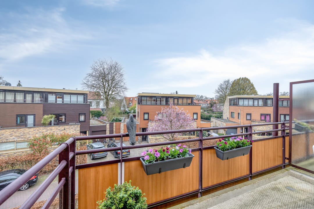 Photo 16 of Zeshoven 39