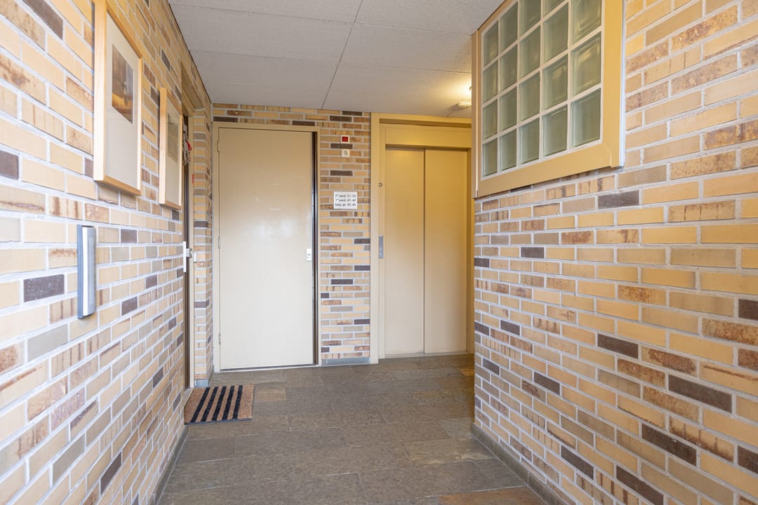 Photo 28 of Zeshoven 39