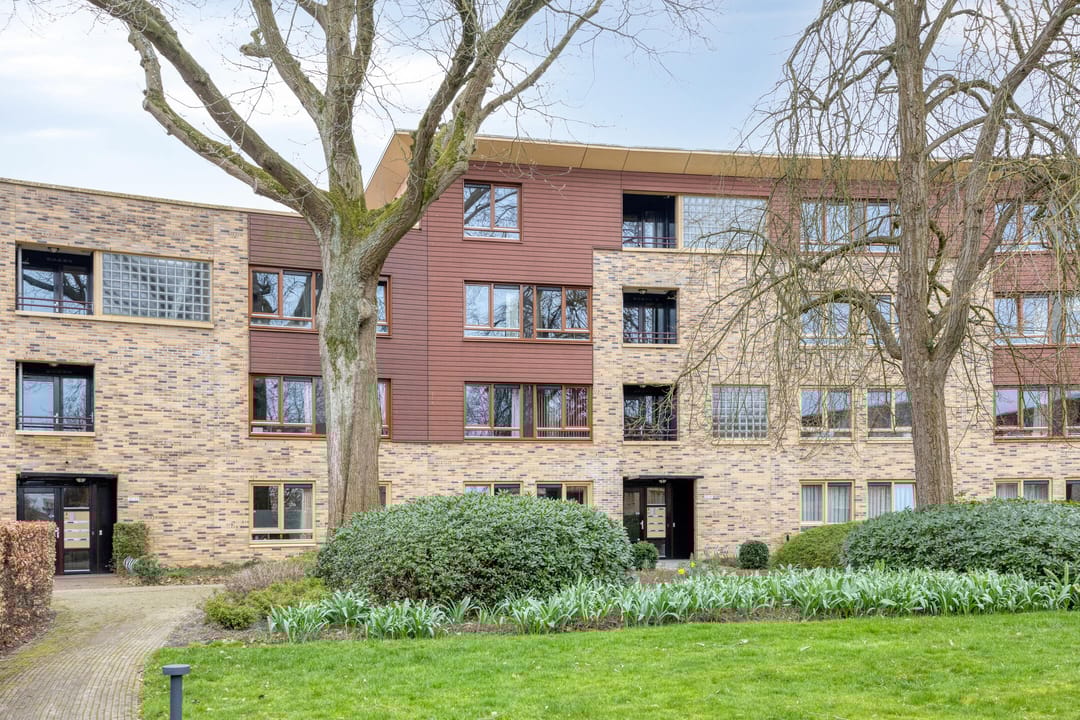 Photo 37 of Zeshoven 39