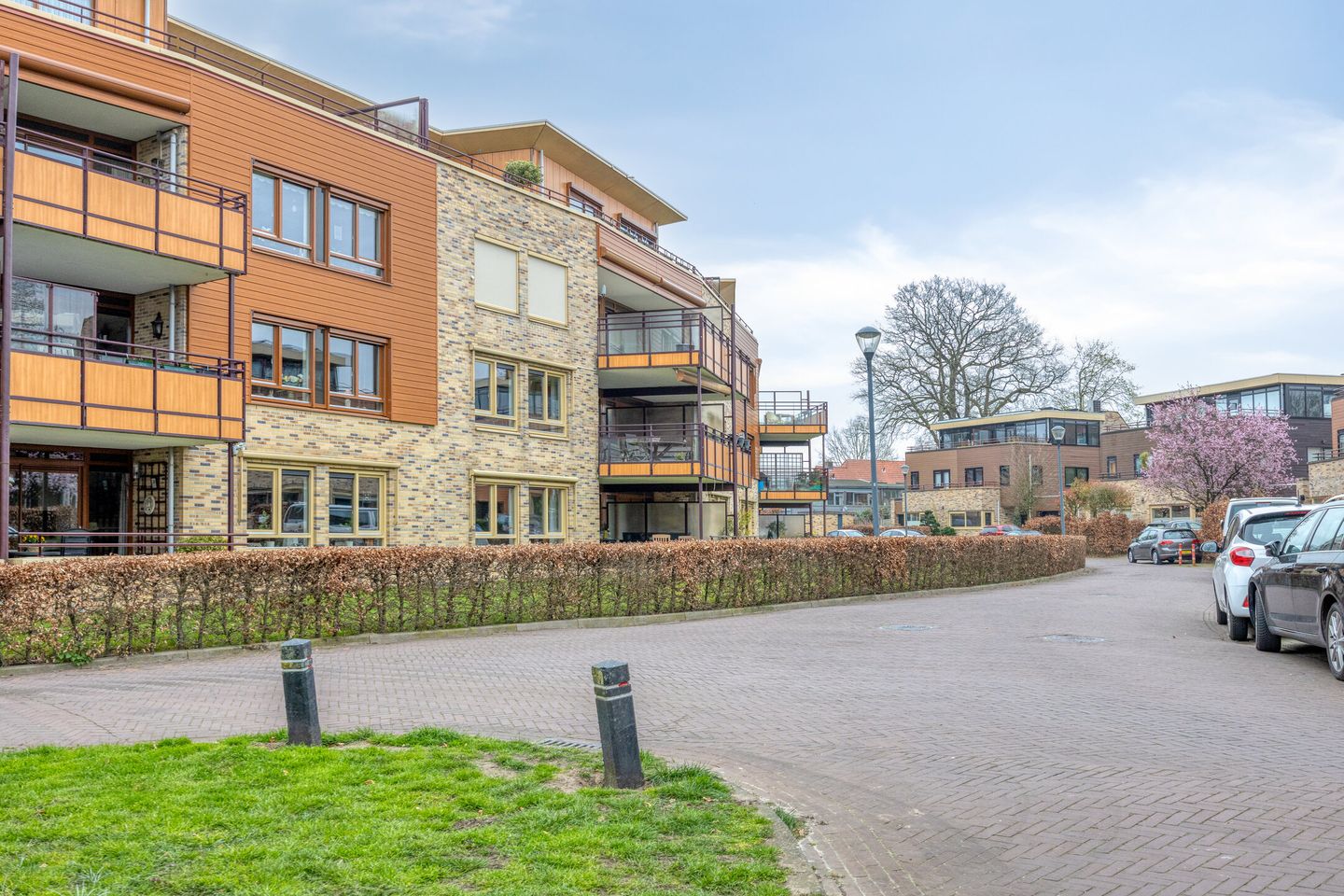 Photo 40 of Zeshoven 39