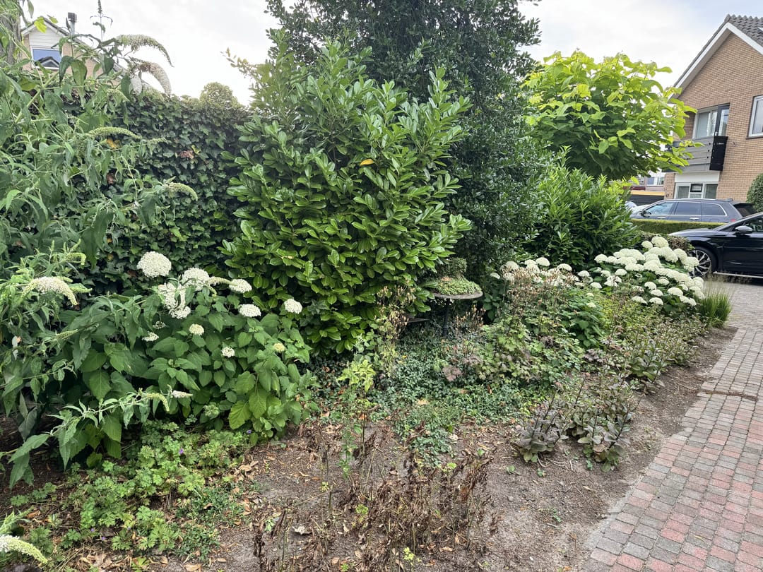 Foto 82 van Langstraat 49