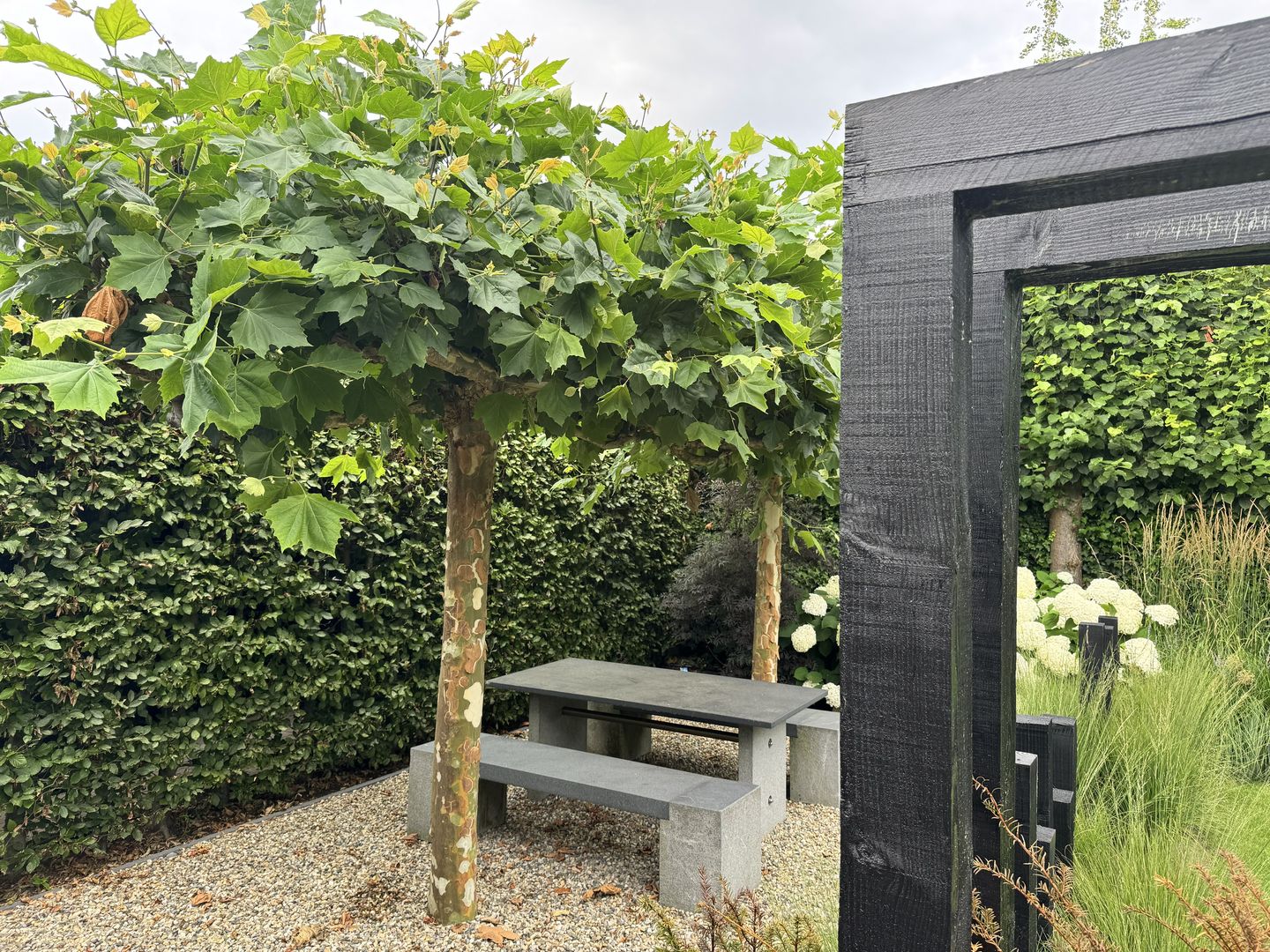 Foto 65 van Langstraat 49