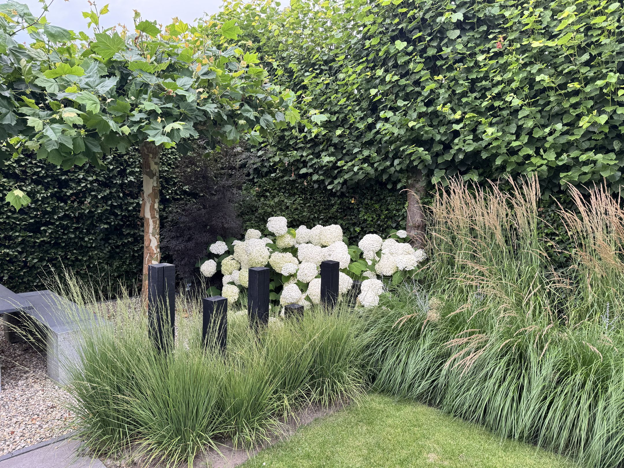 Foto 69 van Langstraat 49