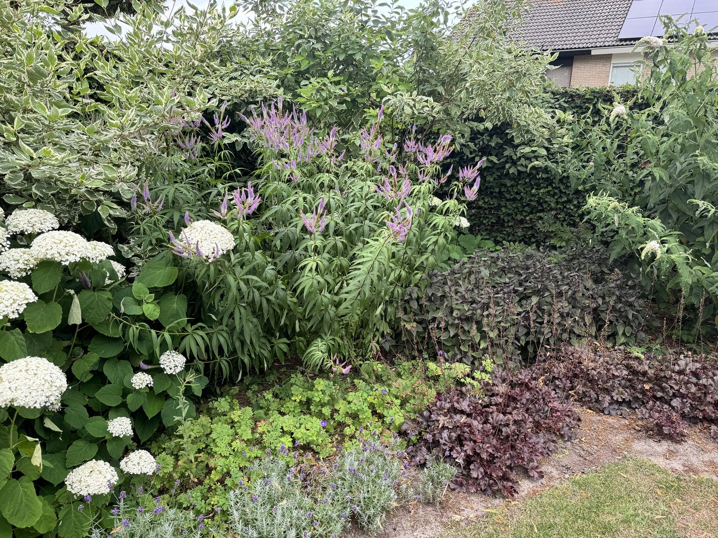 Foto 80 van Langstraat 49