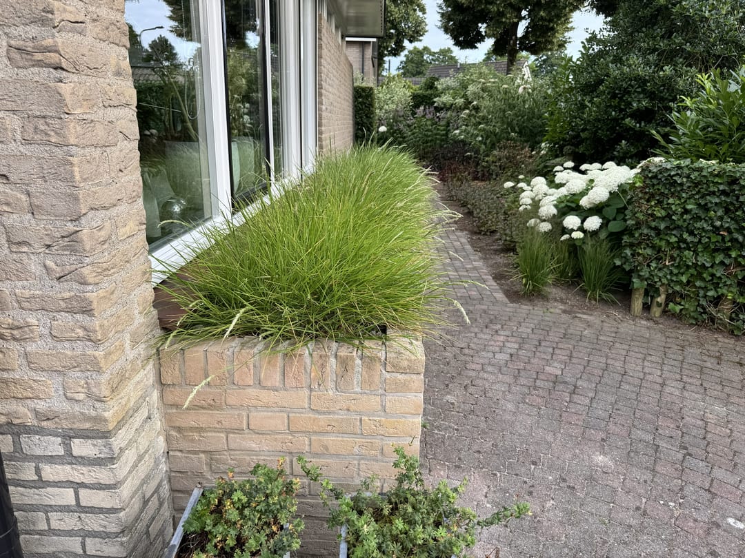 Foto 86 van Langstraat 49