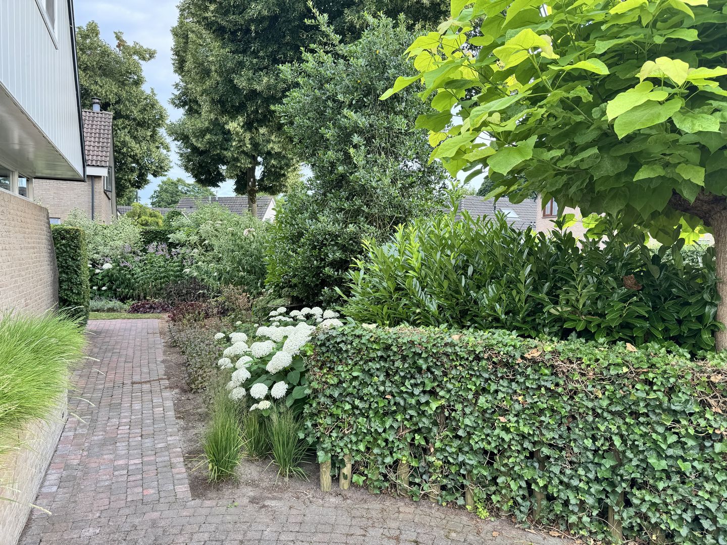 Foto 89 van Langstraat 49