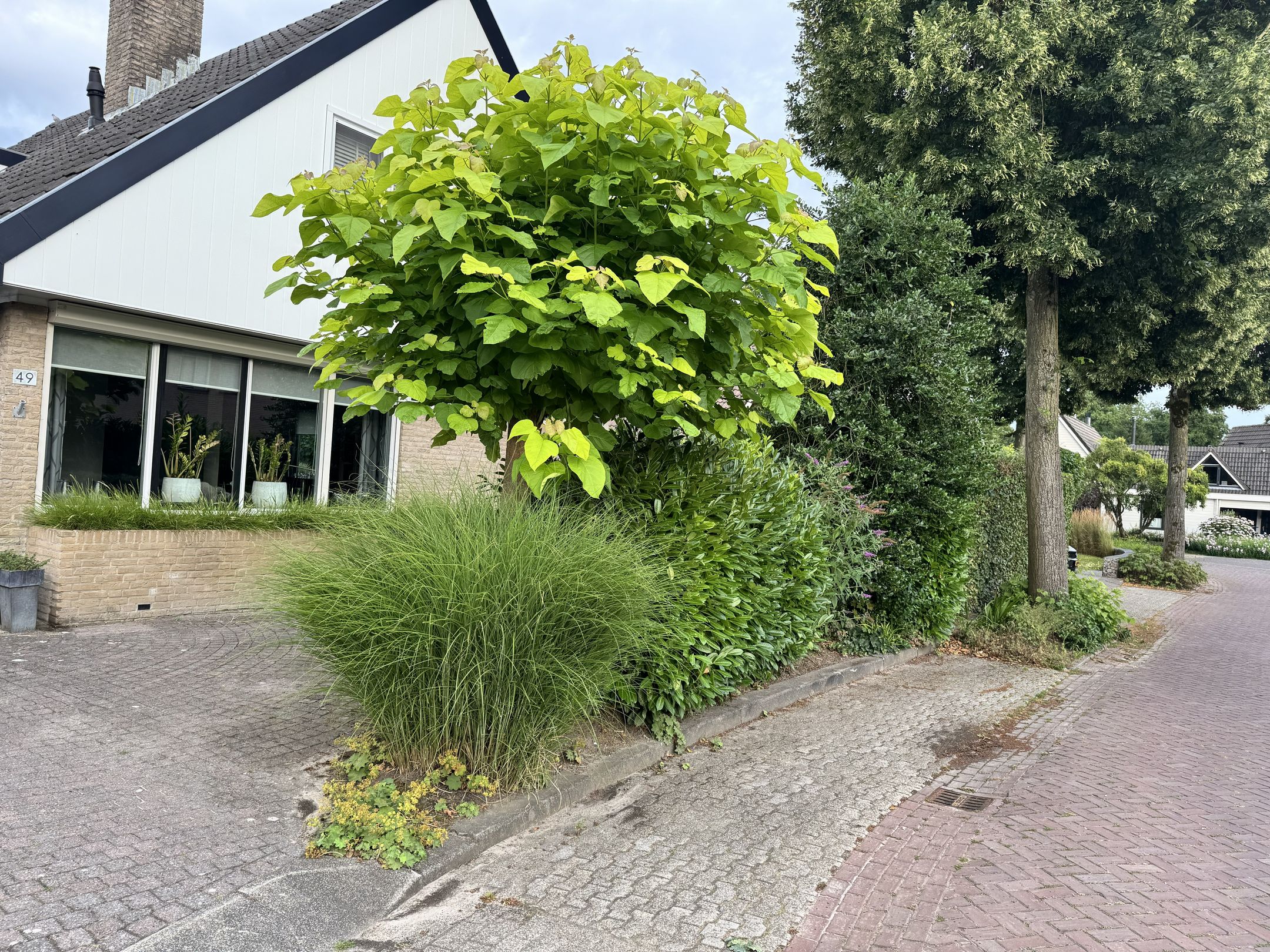 Foto 90 van Langstraat 49