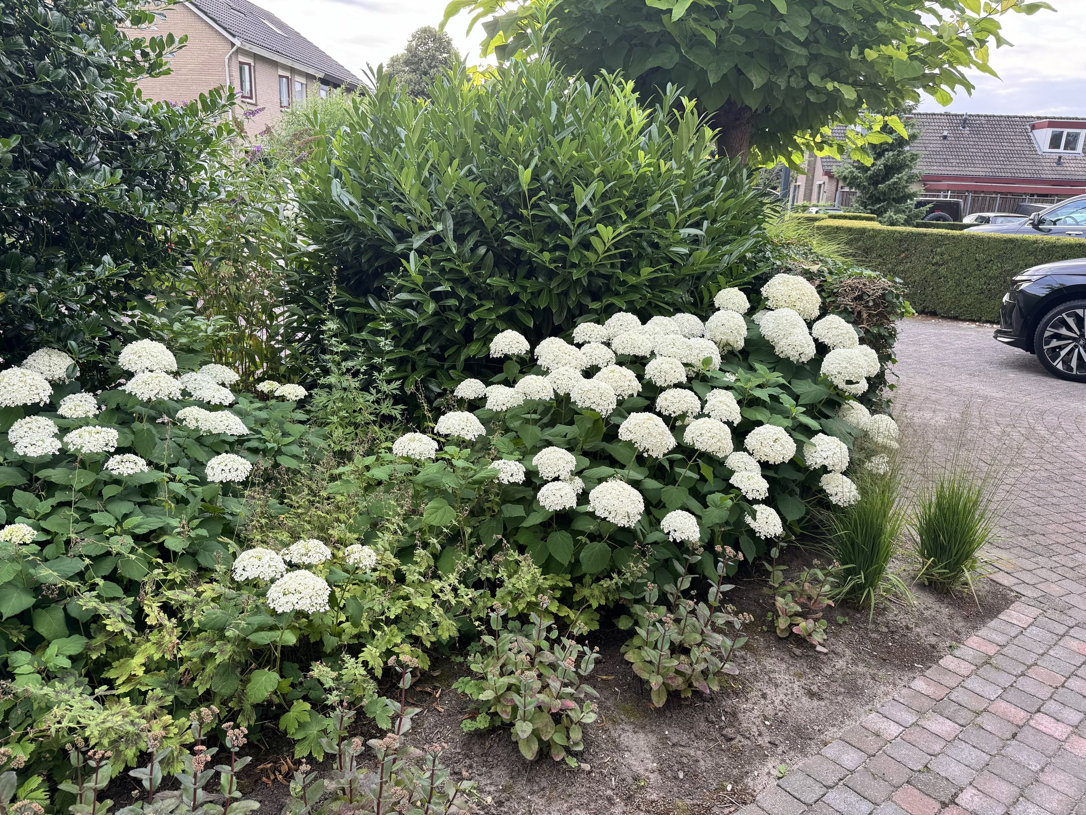 Foto 84 van Langstraat 49