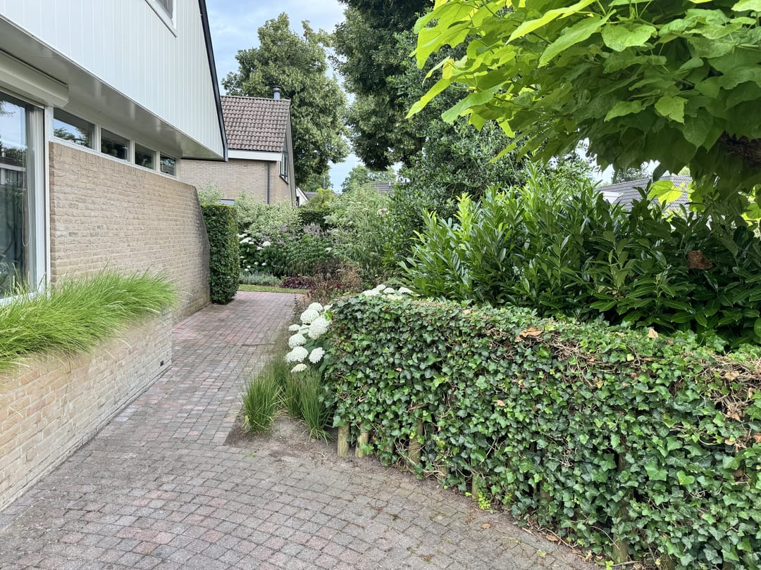 Foto 88 van Langstraat 49