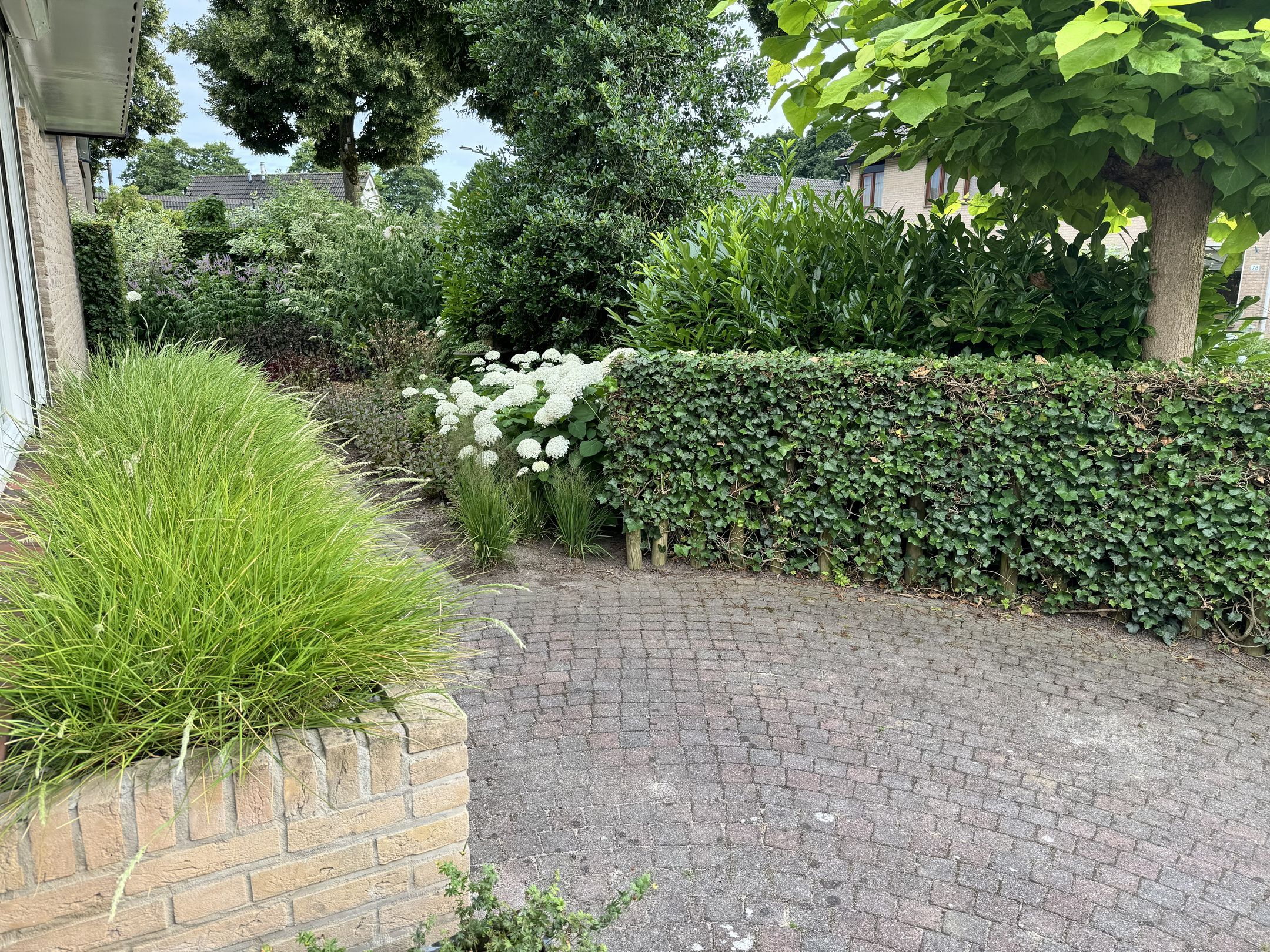 Foto 87 van Langstraat 49