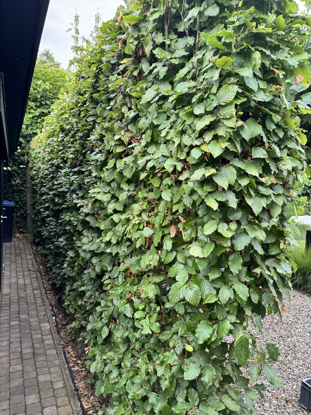 Foto 91 van Langstraat 49