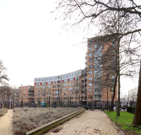 undefined main image