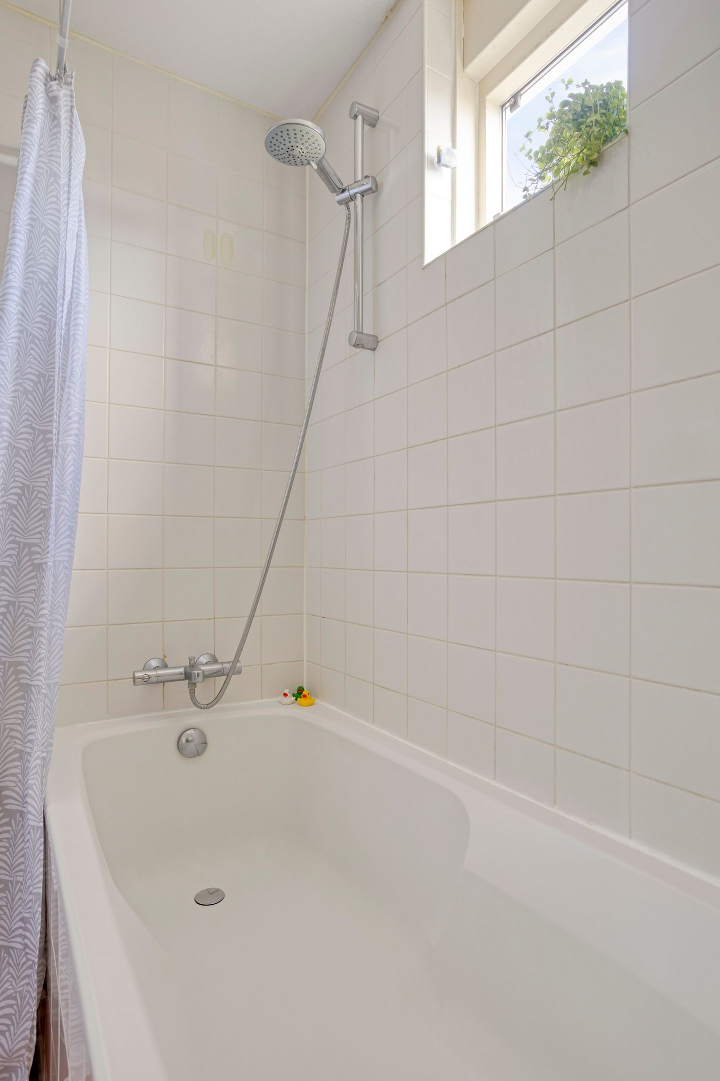 Foto 19 van Kikkerbeet 67-B