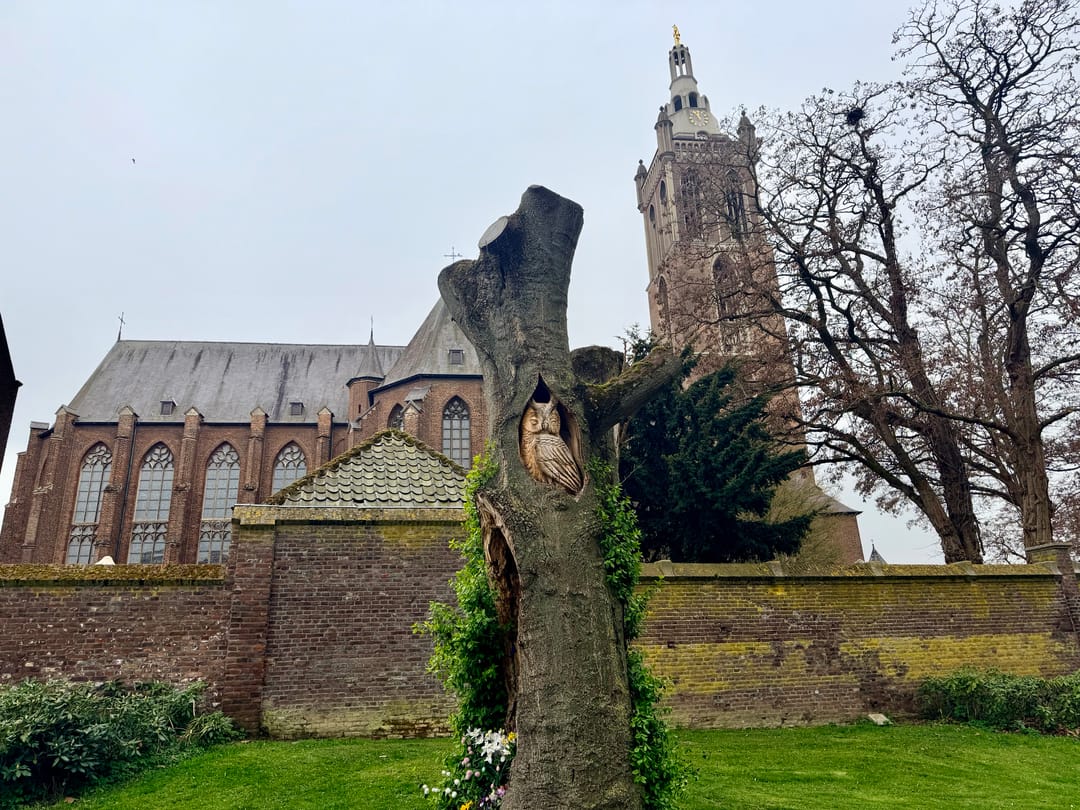 Photo 68 of Swalmerstraat 57