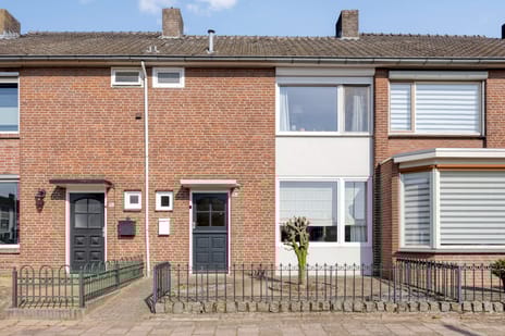 undefined main image