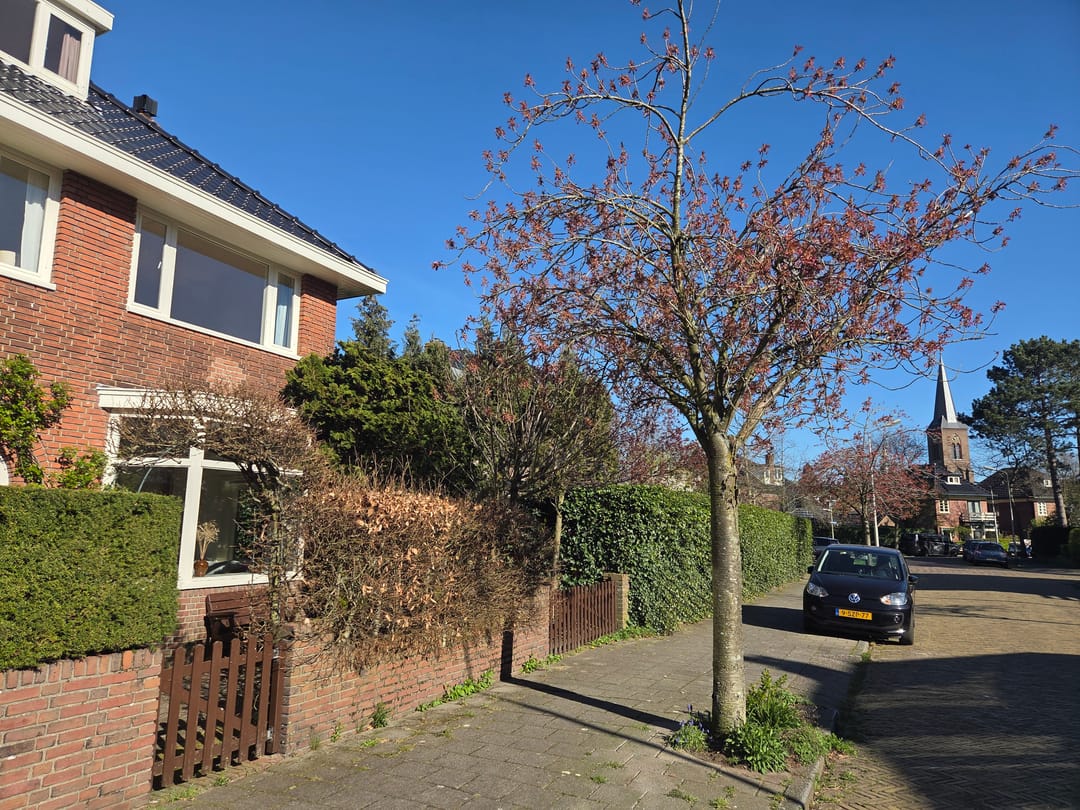 Charming 1930s Semi-Detached Home with Garage and Deep Garden — 43