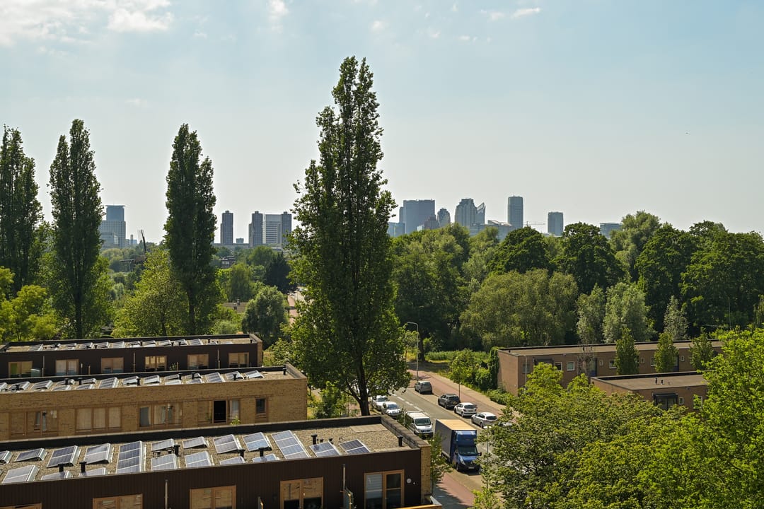 Foto 16 van Boekweitkamp 161