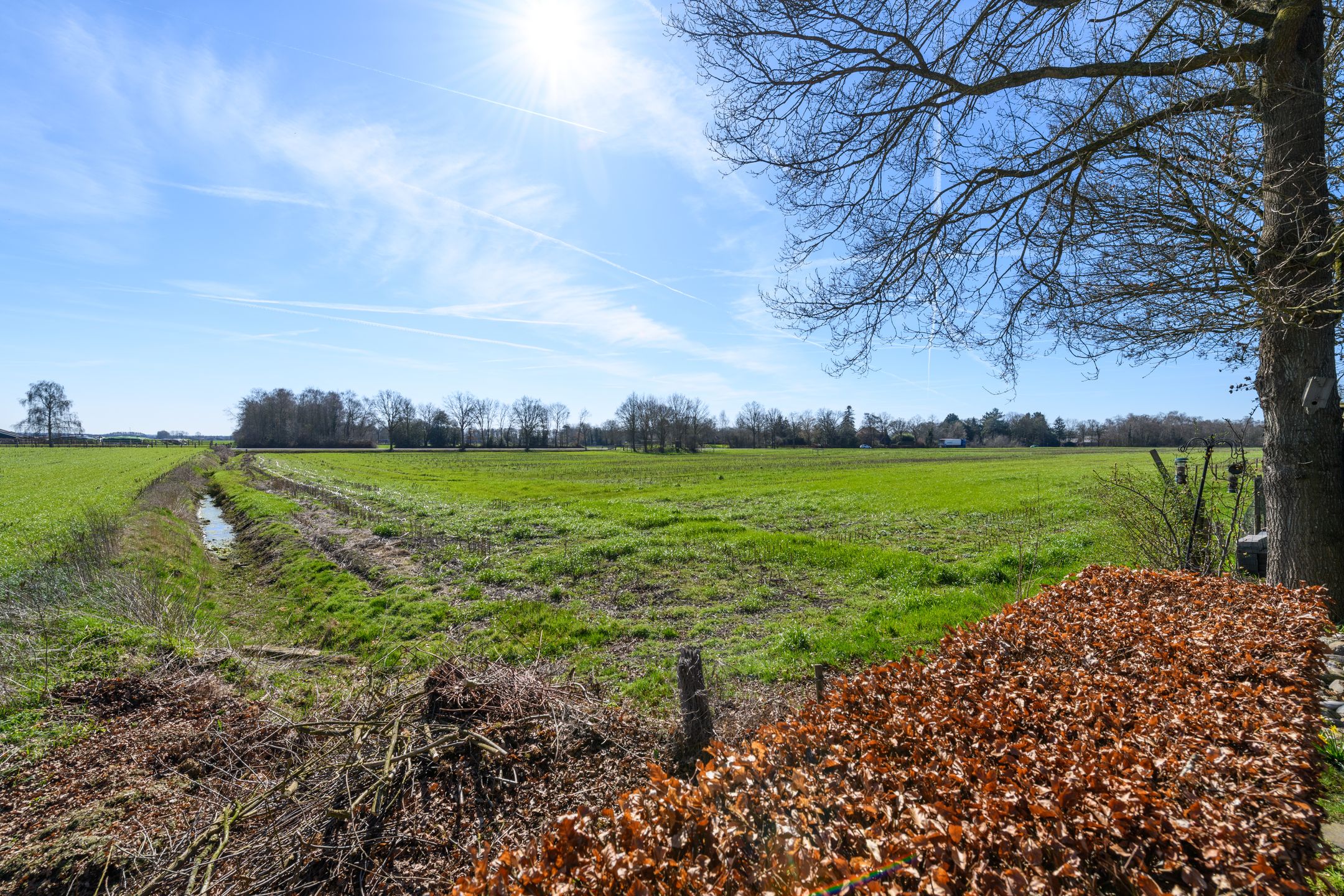 Photo 45 of Oltholtstraat 12