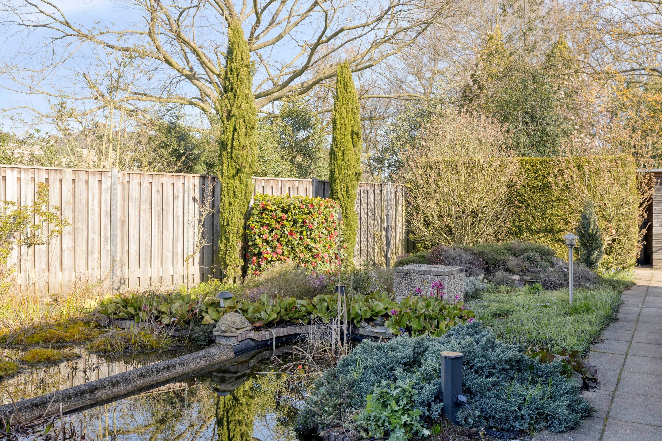 Photo 30 of Albert van Cuijckstraat 19