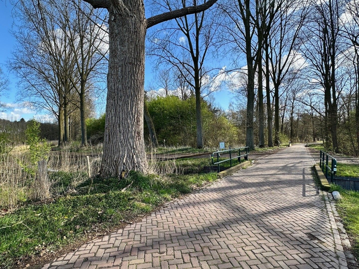 Foto 51 van Heistraat 45