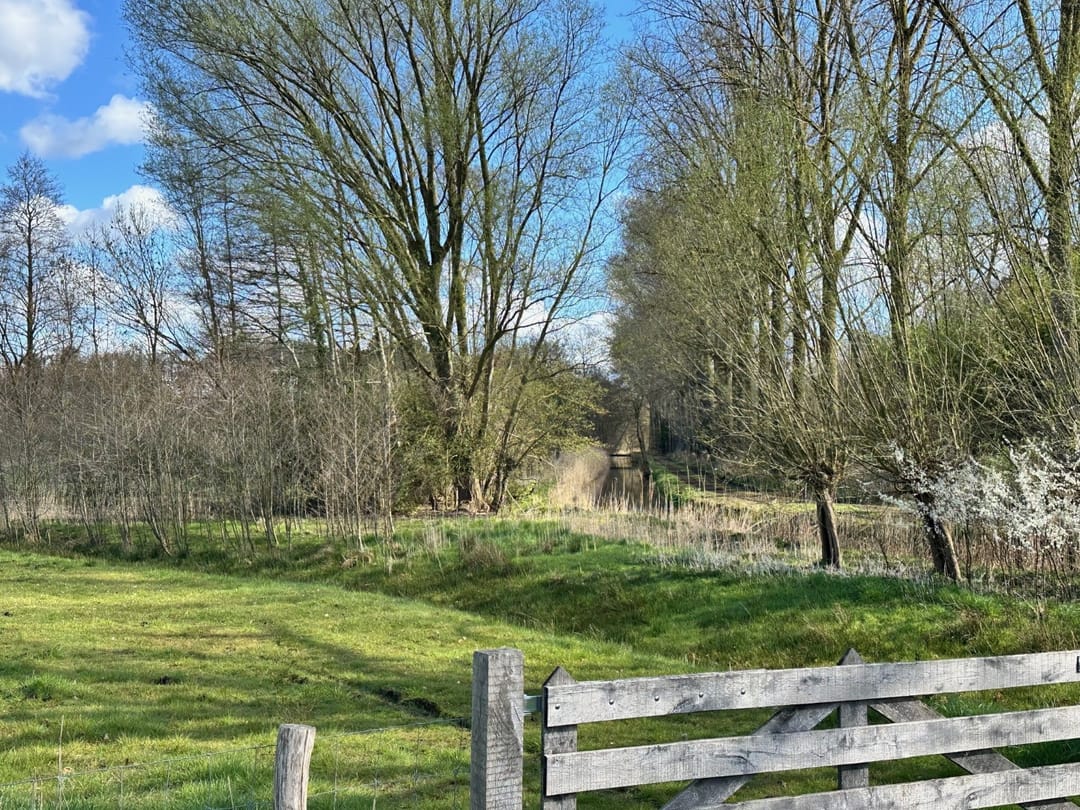 Foto 52 van Heistraat 45