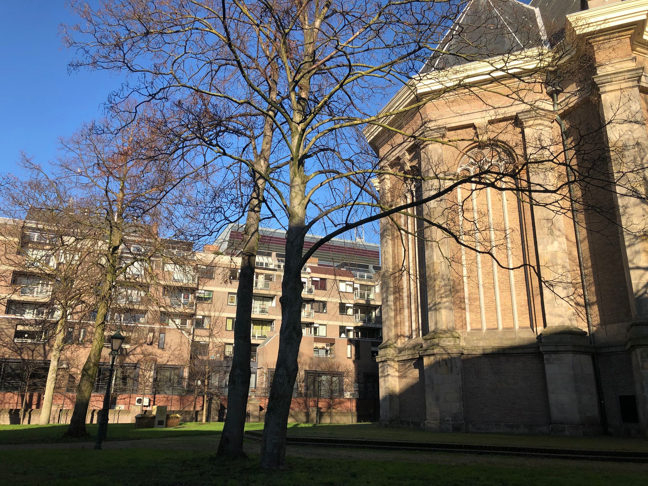 Foto 27 van Gedempte Gracht 591