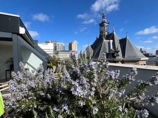 Foto 1 van Gedempte Gracht 591