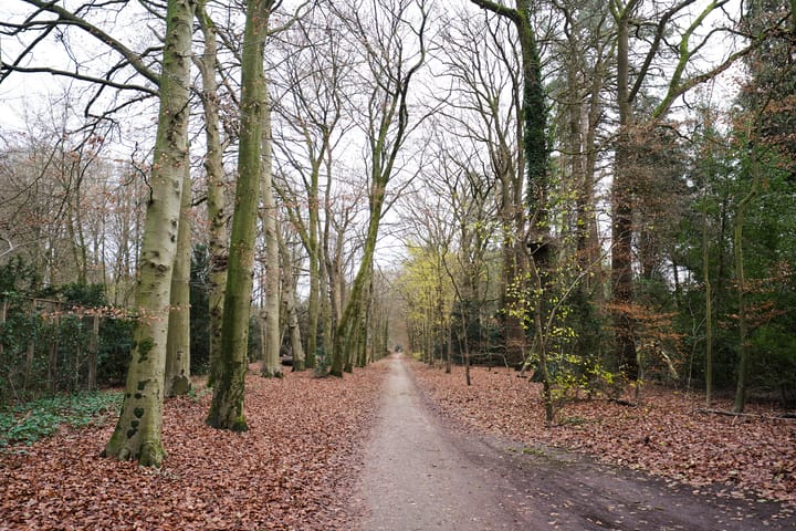 Bosrand 108 main image