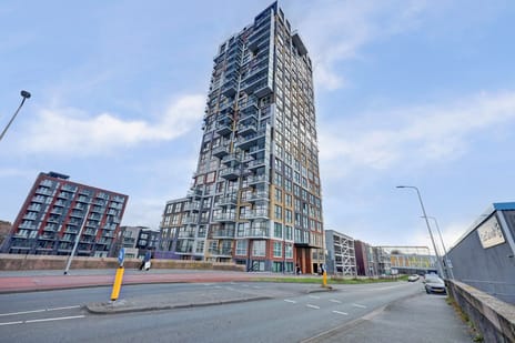 undefined main image