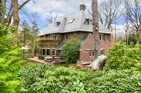 Konijnenlaan thumbnail